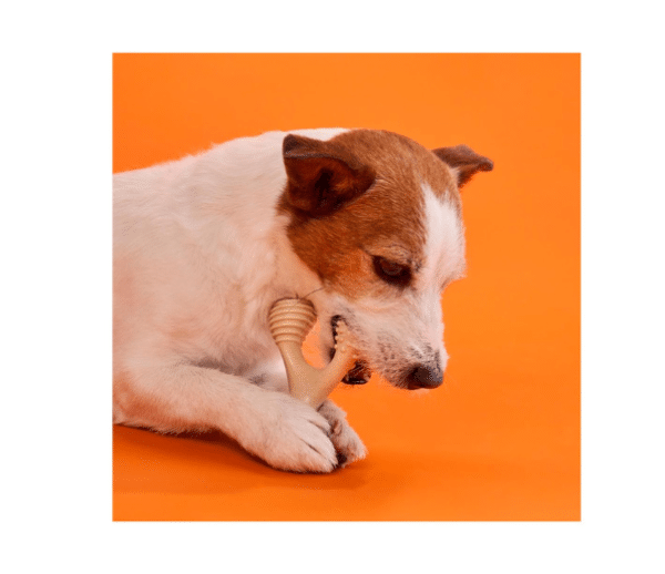 BetterBone Hard (vaca) - Image 2