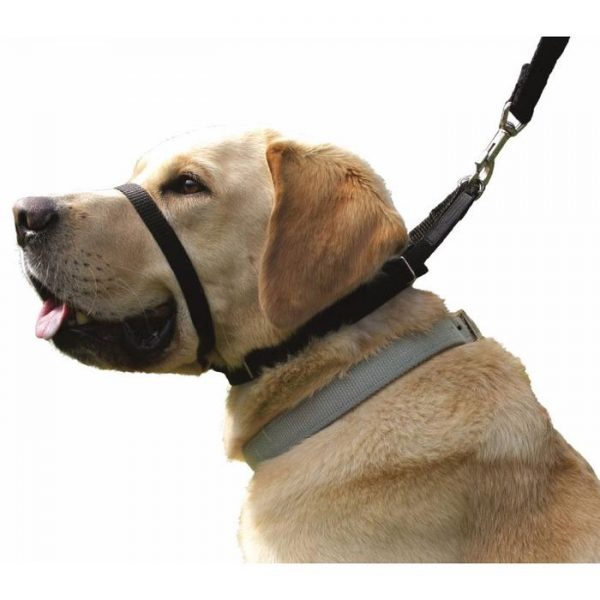 Canny Collar