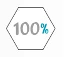 Proteína 100% Hidrolisada