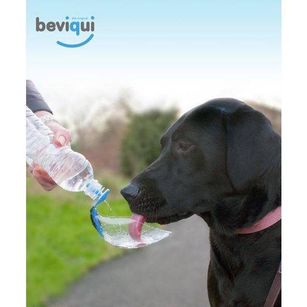 Beviqui