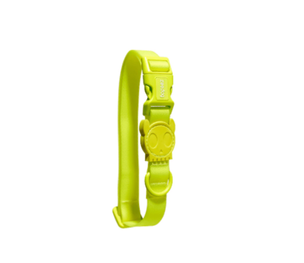 Zee.Dog Coleira Neopro Lime