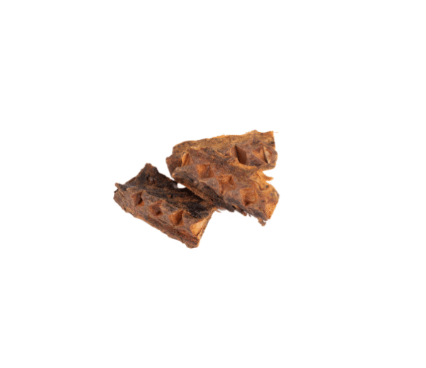 Raww Nature- Fish Bone Atum XL - Image 2